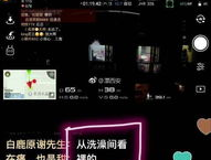 本地频道今日爆料直播,揭秘热门事件背后的真相
