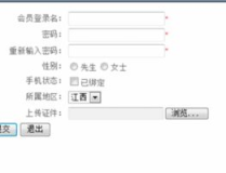 大一html网页制作代码,HTML网页制作概述